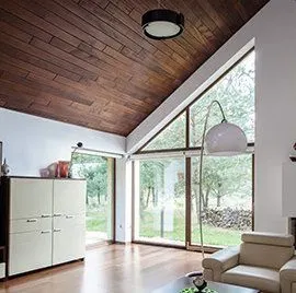 Vaulted Living Room